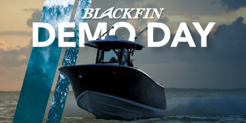 Blackfin Demo Day